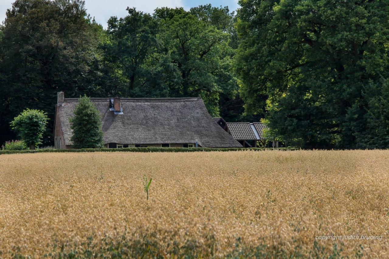 Jelly'S Hoeve (Adults Only) Havelte Exterior foto
